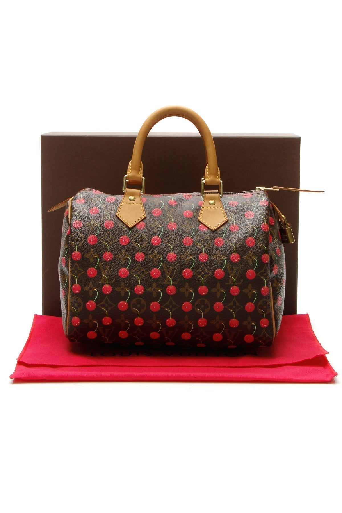 Speedy 25 Bag - Monogram Cerises - image 10