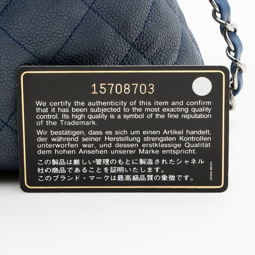Chanel Caviar Leather French Riviera Hobo - image 18