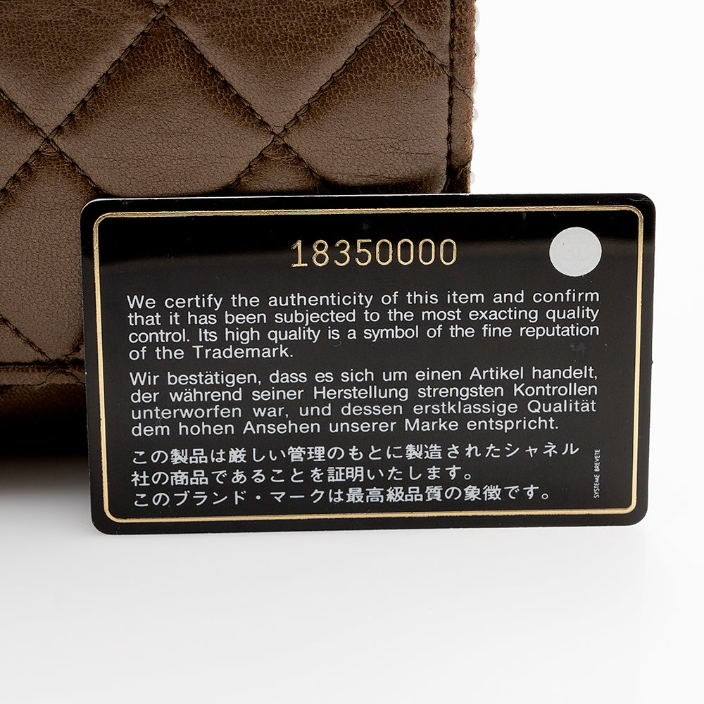 Chanel Metallic Lambskin Classic Wallet on Chain Bag - image 20