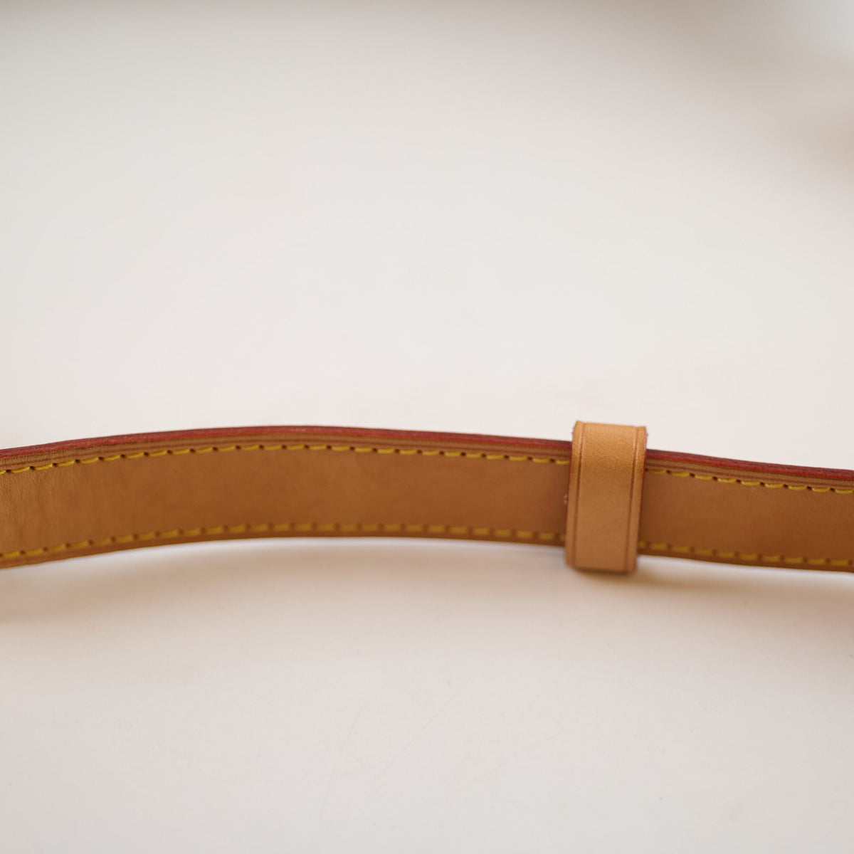 Louis Vuitton Monogram Bumbag - photo 12