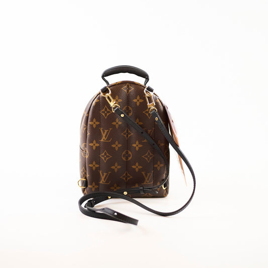 Louis Vuitton Palmspring Backpack Mini Monogram - photo 2