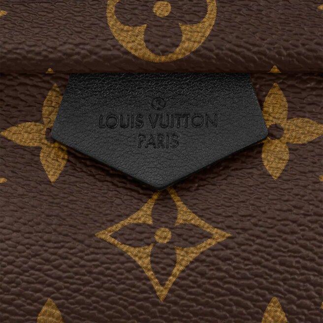 Louis Vuitton PALM SPRINGS MINI Monogram Reverse coated canvas - image 5