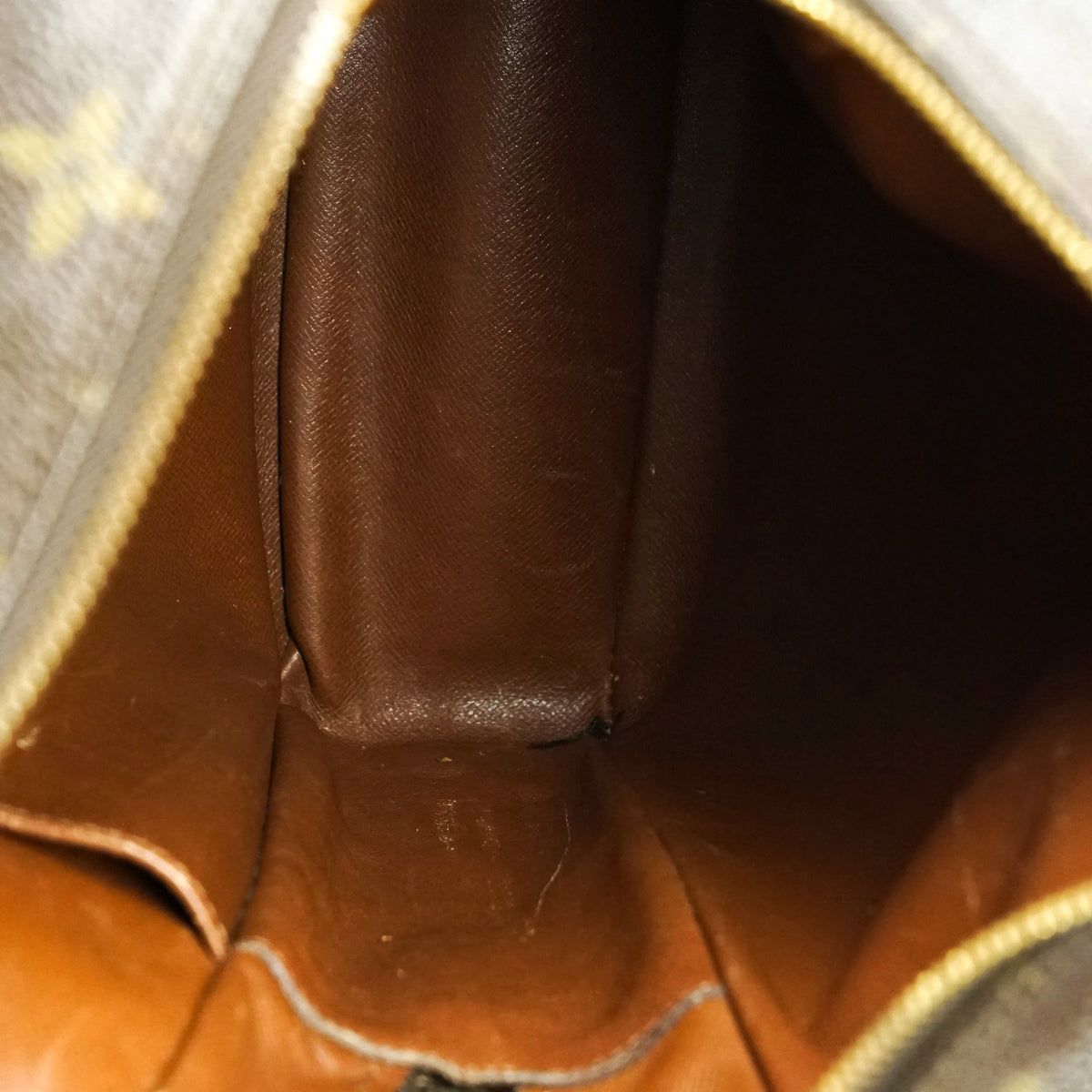 Louis Vuitton Amazon Mm Cross Body Bag - photo 7