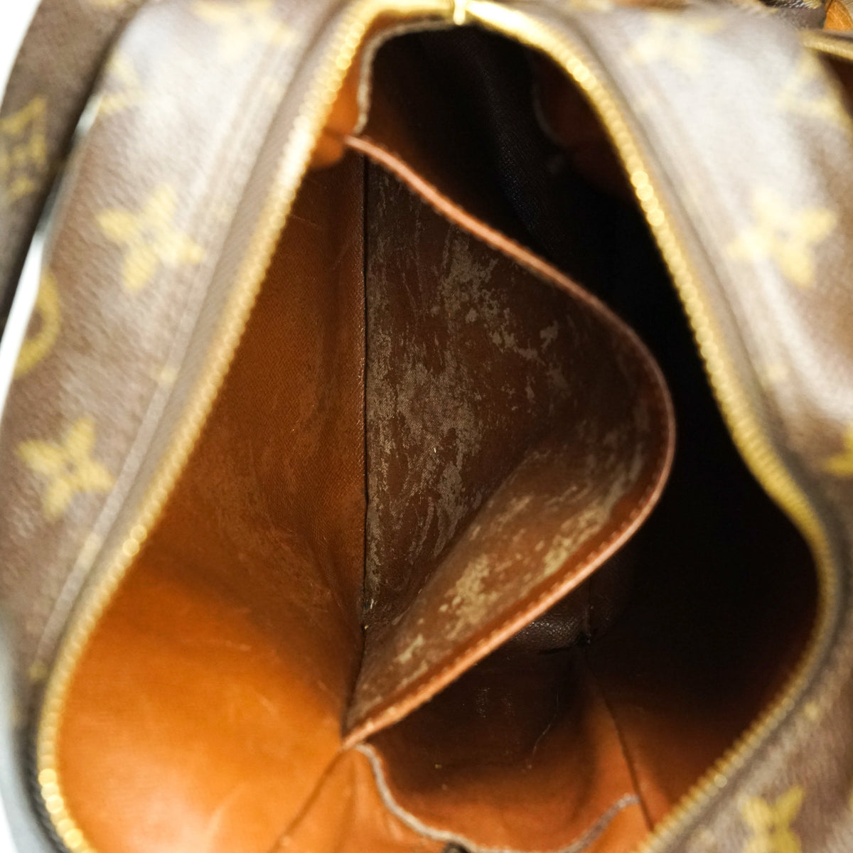 Louis Vuitton Amazon Mm Cross Body Bag - photo 9