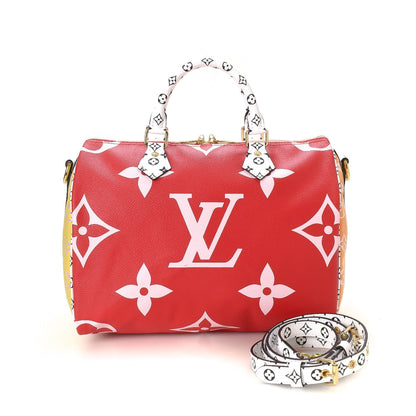 Limited Edition Monogram Geant Speedy 30 - image 1
