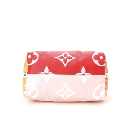 Limited Edition Monogram Geant Speedy 30 - image 3