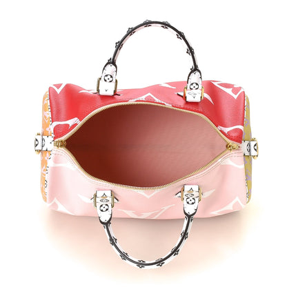 Limited Edition Monogram Geant Speedy 30 - image 4