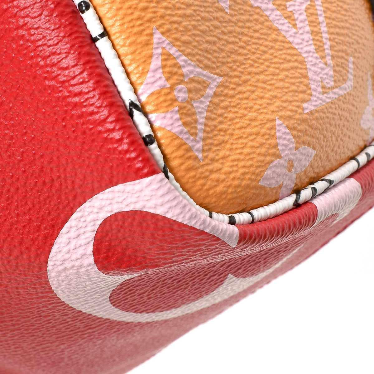 Limited Edition Monogram Geant Speedy 30 - image 8