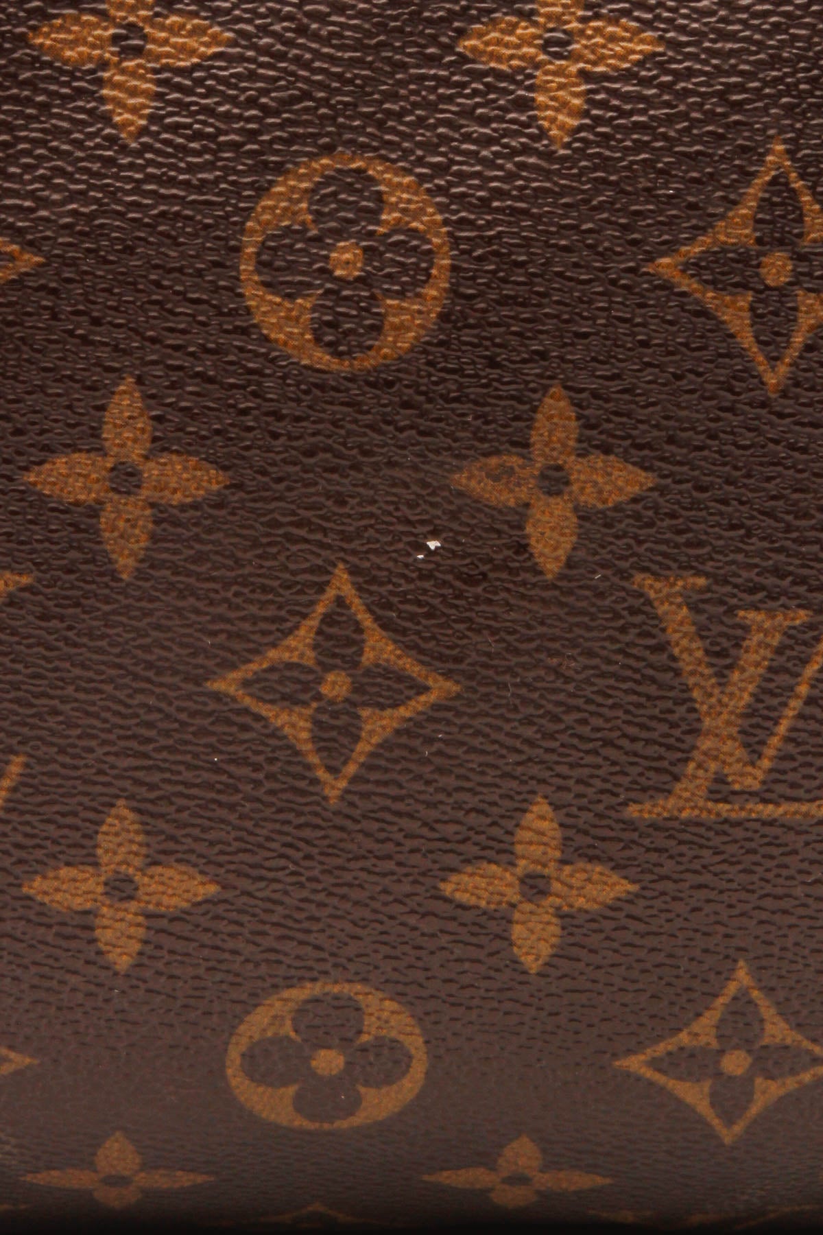 Speedy 30 Bag - Monogram - image 12