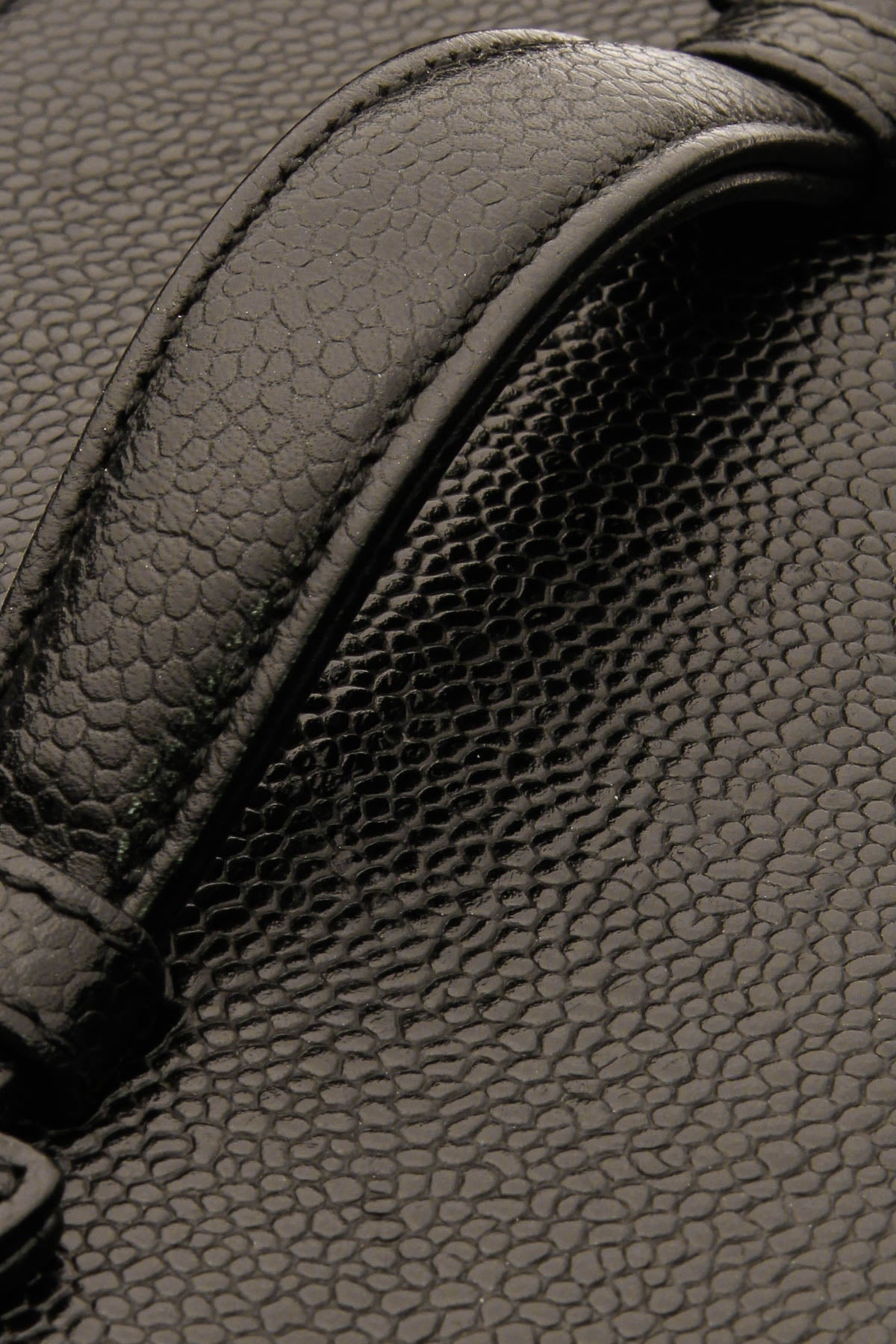 Timeless Vanity Case Bag - Black Caviar - image 6