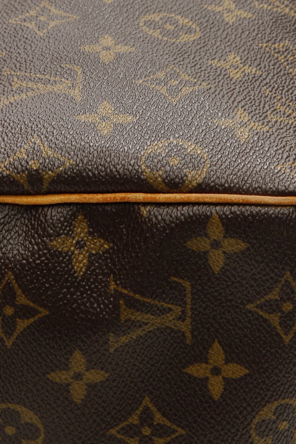Speedy 25 Bag - Monogram - image 5