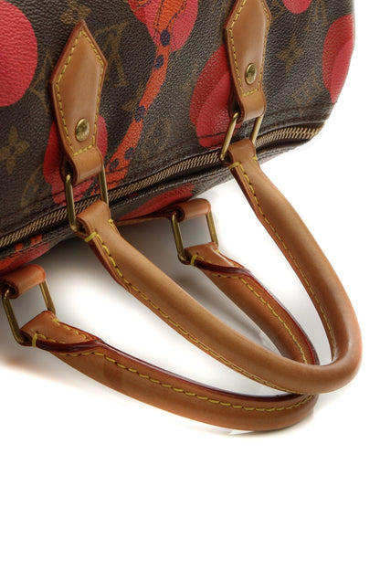 Ramages Speedy 30 Bag - Grenade Monogram - image 9