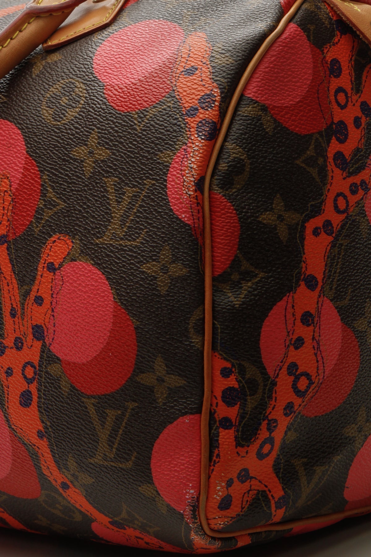 Ramages Speedy 30 Bag - Grenade Monogram - image 7