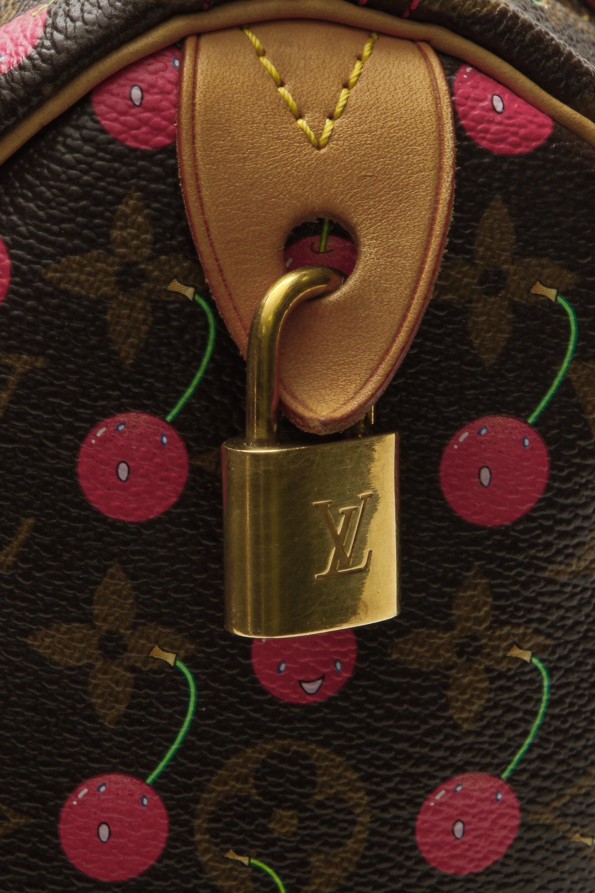 Speedy 25 Bag - Monogram Cerises - image 6
