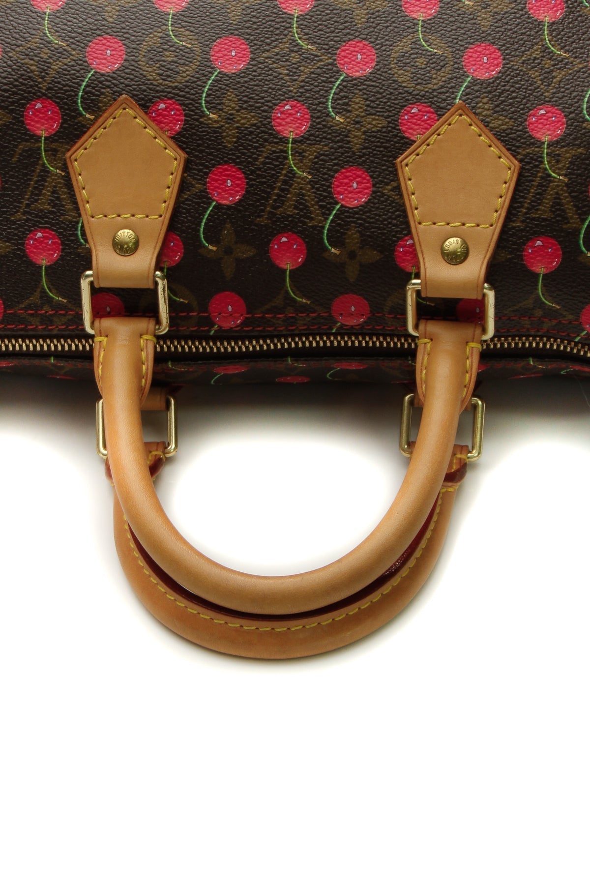 Speedy 25 Bag - Monogram Cerises - image 5
