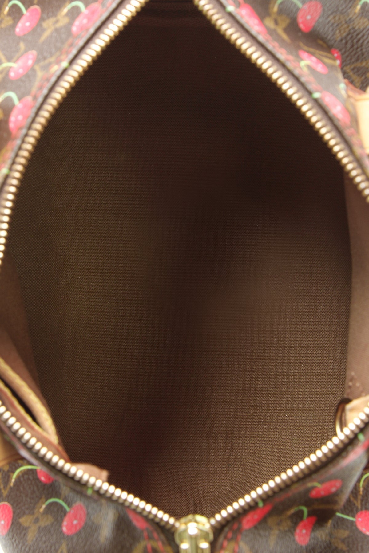 Speedy 25 Bag - Monogram Cerises - image 7