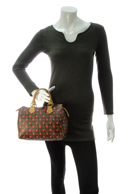Speedy 25 Bag - Monogram Cerises - image 2