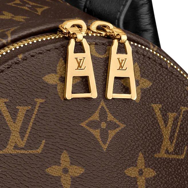 Louis Vuitton Palm Springs PM - photo 2