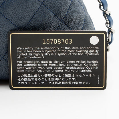 Chanel Caviar Leather French Riviera Hobo - image 18