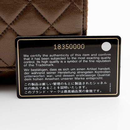 Chanel Metallic Lambskin Classic Wallet on Chain Bag - image 20