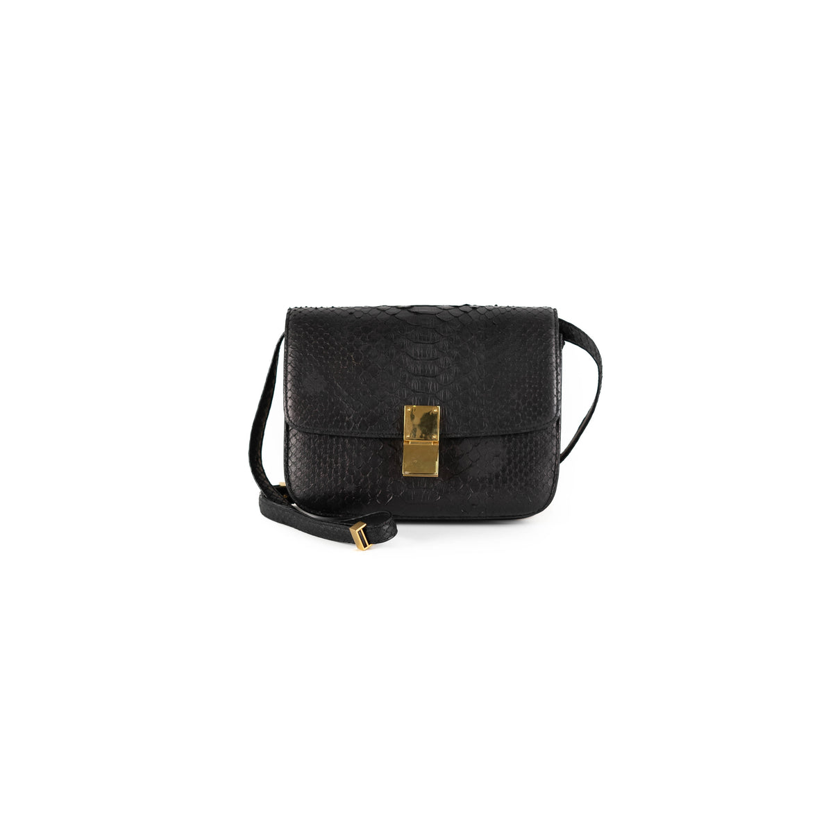 Celine Box Python Bag Black - photo 1
