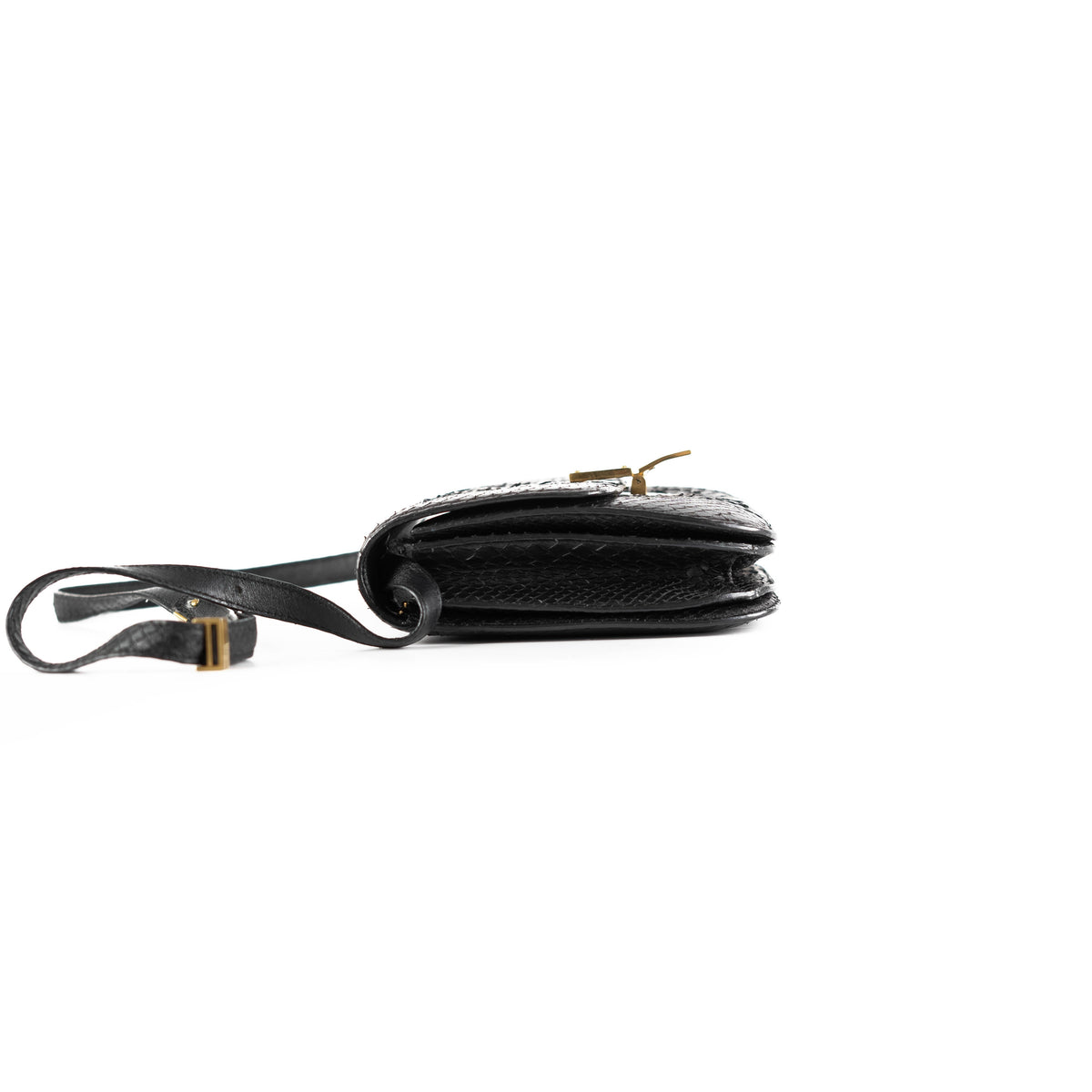 Celine Box Python Bag Black - photo 3