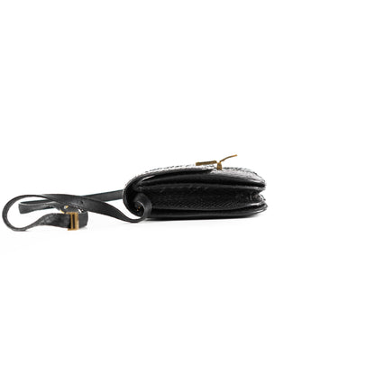 Celine Box Python Bag Black - photo 3