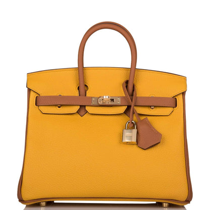Hermes Birkin 25 Jaune Ambre and Gold Togo Permabrass Hardware - image 1