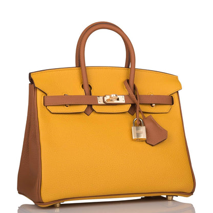 Hermes Birkin 25 Jaune Ambre and Gold Togo Permabrass Hardware - image 2