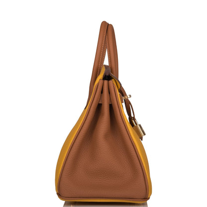 Hermes Birkin 25 Jaune Ambre and Gold Togo Permabrass Hardware - image 3