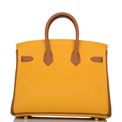Hermes Birkin 25 Jaune Ambre and Gold Togo Permabrass Hardware - image 4
