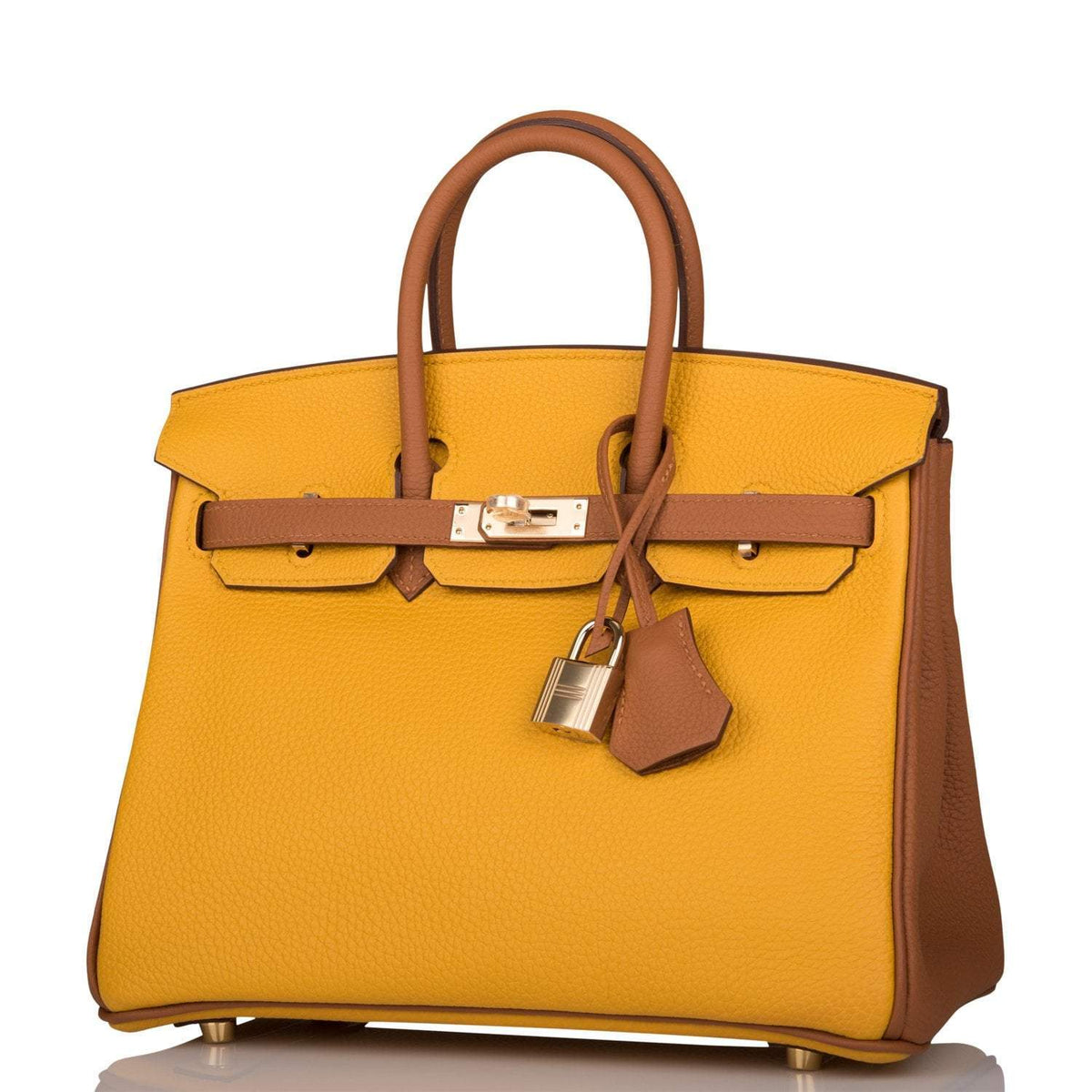 Hermes Birkin 25 Jaune Ambre and Gold Togo Permabrass Hardware - image 5