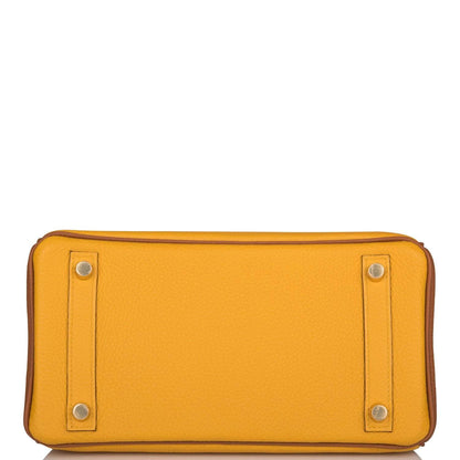 Hermes Birkin 25 Jaune Ambre and Gold Togo Permabrass Hardware - image 6