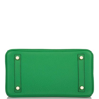 Hermès Birkin 25cm Bambou Togo Gold Hardware - photo 6
