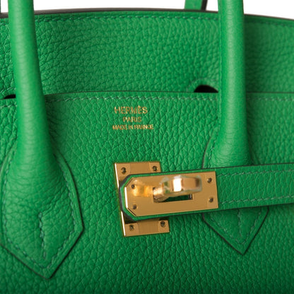 Hermès Birkin 25cm Bambou Togo Gold Hardware - photo 7