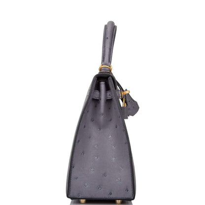 Hermes Horseshoe Stamp (HSS) Bi-Color Gris Agate and Bleu Electric Ostrich Sellier Kelly 25cm Brushed Gold Hardware - image 3