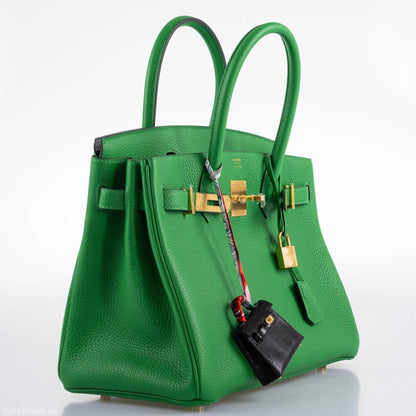 Hermès Birkin 25 Bambou (Bamboo) Green Togo with Gold Hardware - 2020, Y - photo 14