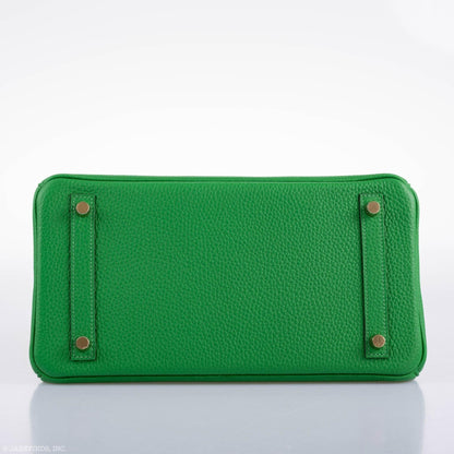 Hermès Birkin 25 Bambou (Bamboo) Green Togo with Gold Hardware - 2020, Y - photo 7