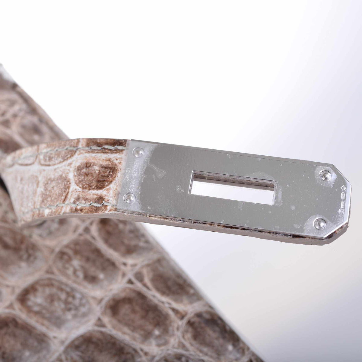 Hermes Birkin 30 Matte Himalayan Niloticus Crocodile with Diamonds & White Gold Hardware - image 10