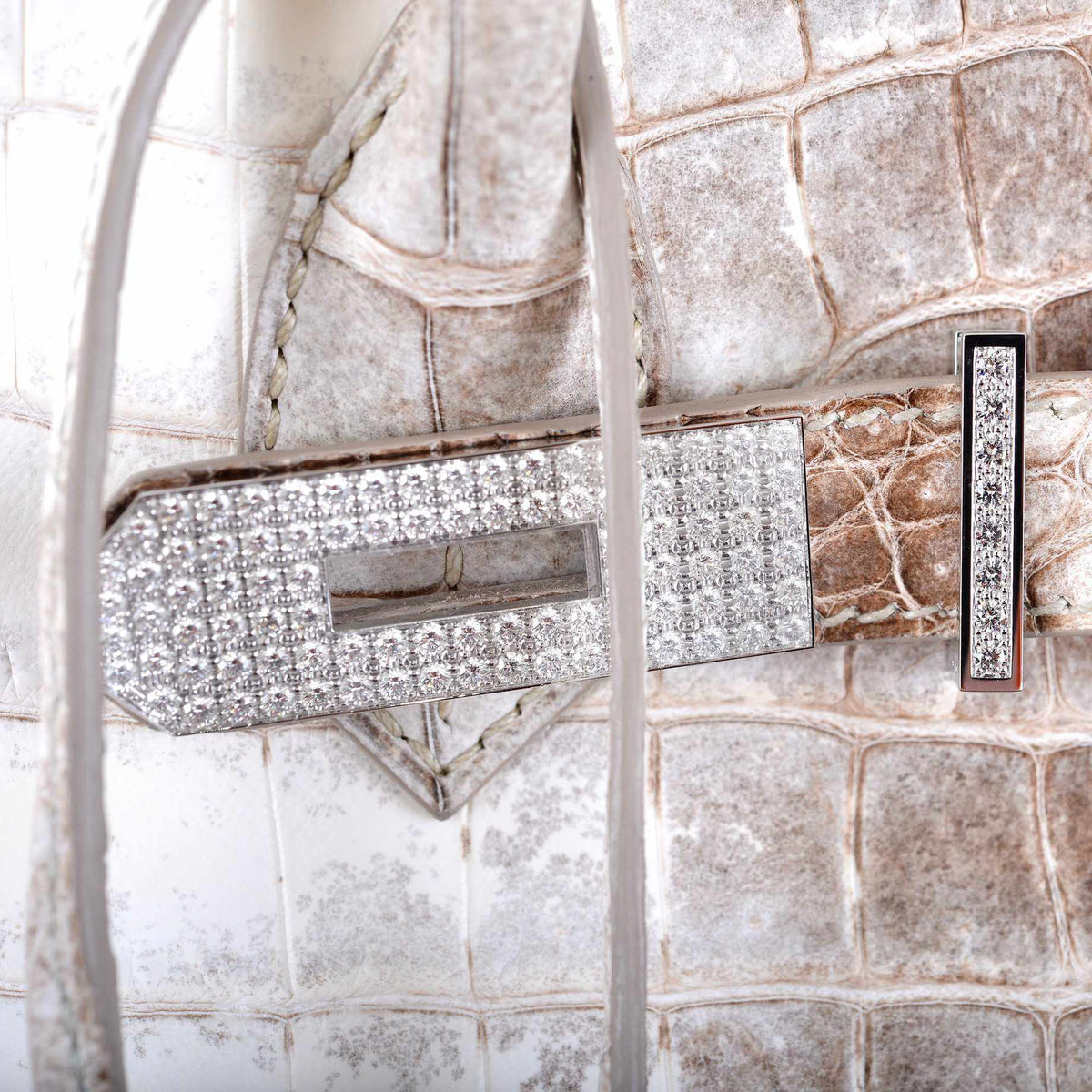 Hermes Birkin 30 Matte Himalayan Niloticus Crocodile with Diamonds & White Gold Hardware - image 17