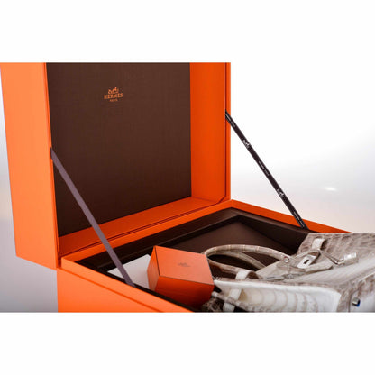 Hermes Birkin 30 Matte Himalayan Niloticus Crocodile with Diamonds & White Gold Hardware - image 18