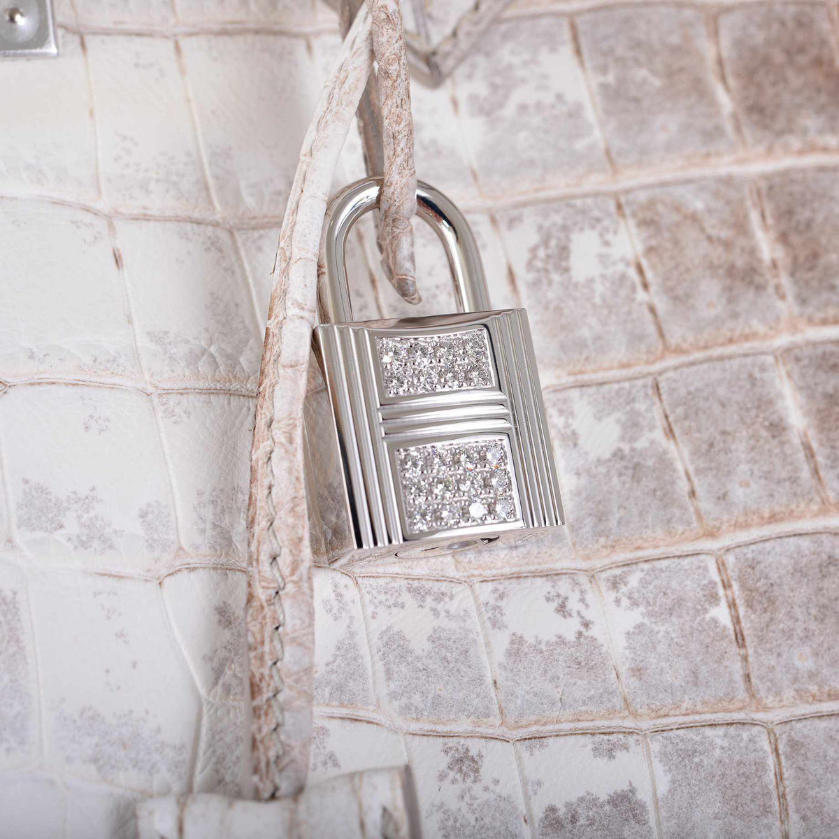 Hermes Birkin 30 Matte Himalayan Niloticus Crocodile with Diamonds & White Gold Hardware - image 7