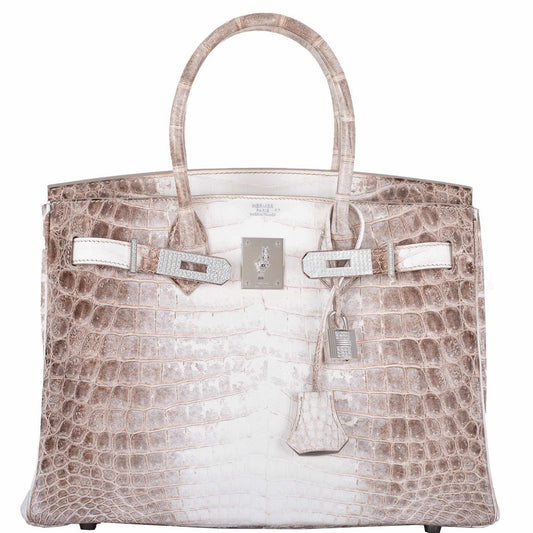 Hermes Birkin 30 Matte Himalayan Niloticus Crocodile with Diamonds & White Gold Hardware - image 1
