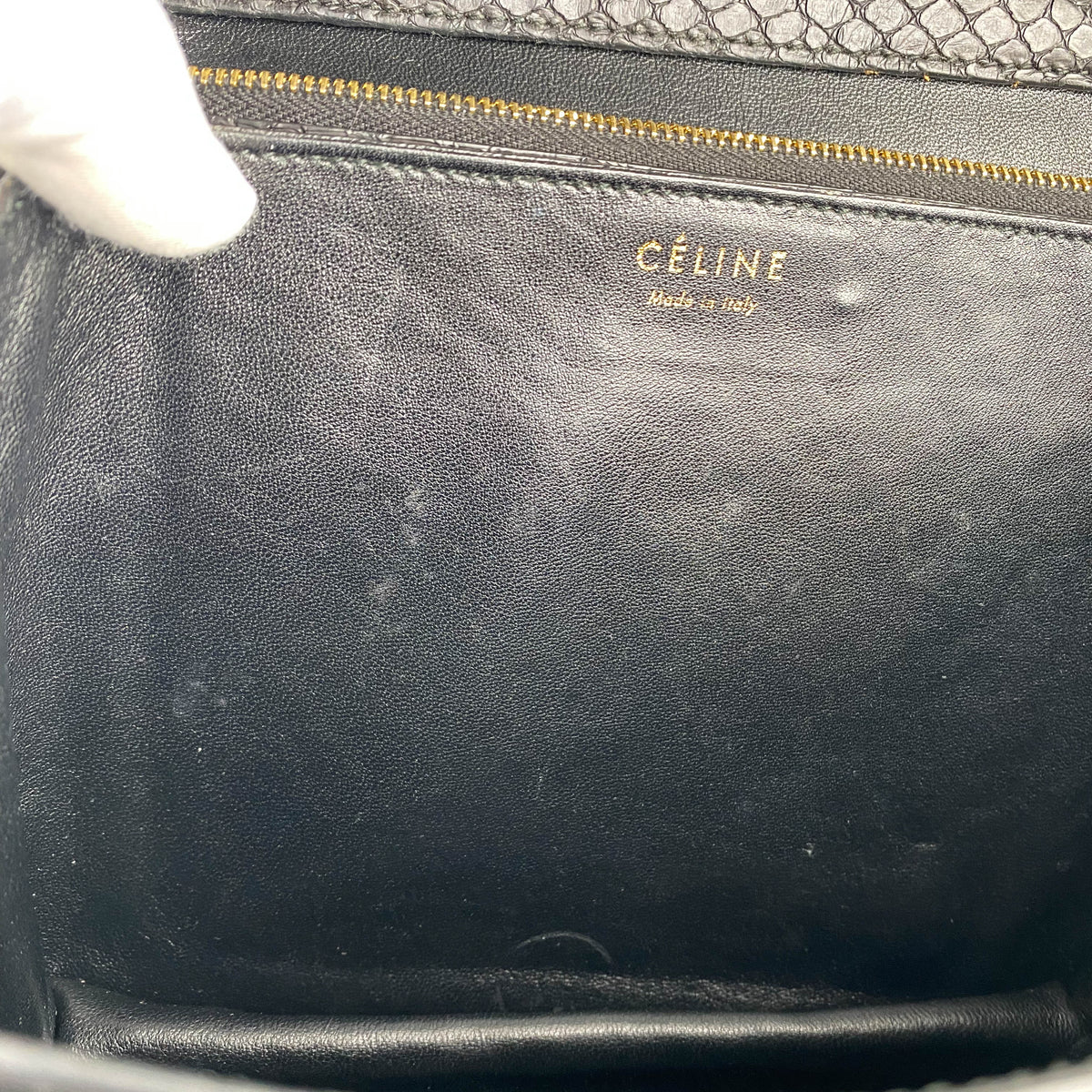 Celine Box Python Bag Black - photo 10