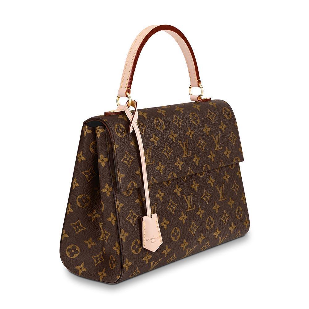 Louis Vuitton Cluny MM - photo 3