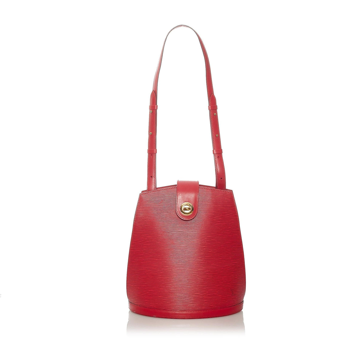 Louis Vuitton Epi Cluny - image 1