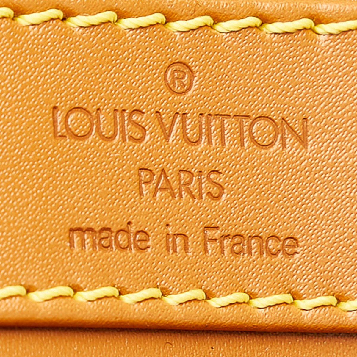 Louis Vuitton Epi Randonnee PM - image 7