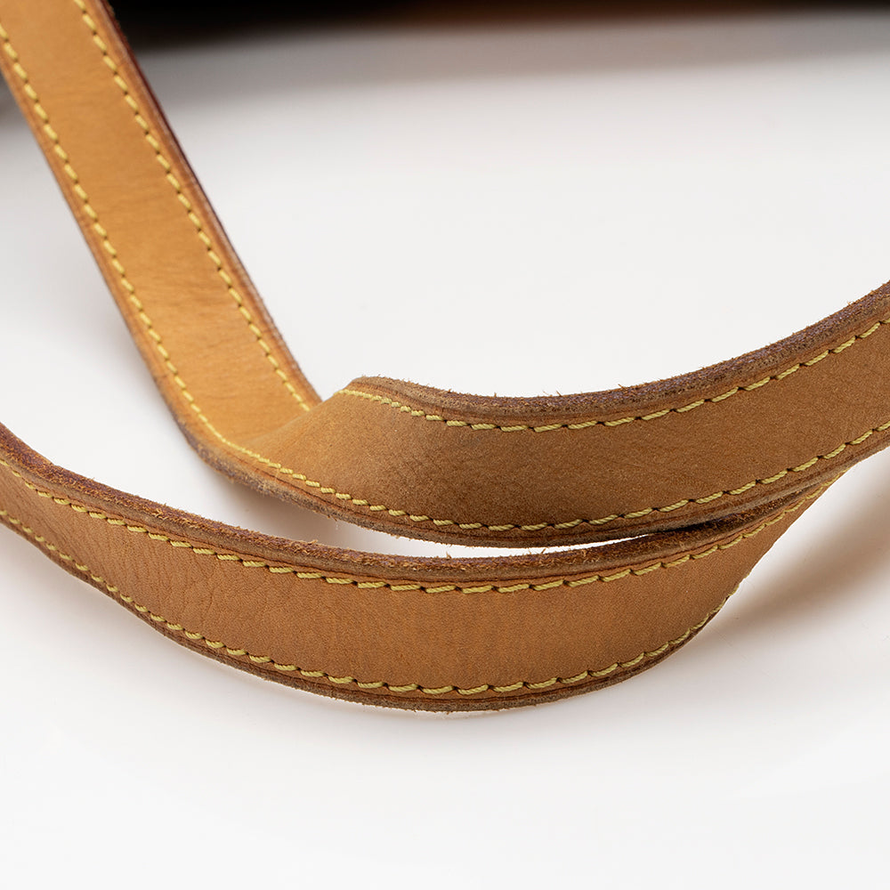 Louis Vuitton Monogram Canvas Stresa PM Shoulder Bag - photo 13
