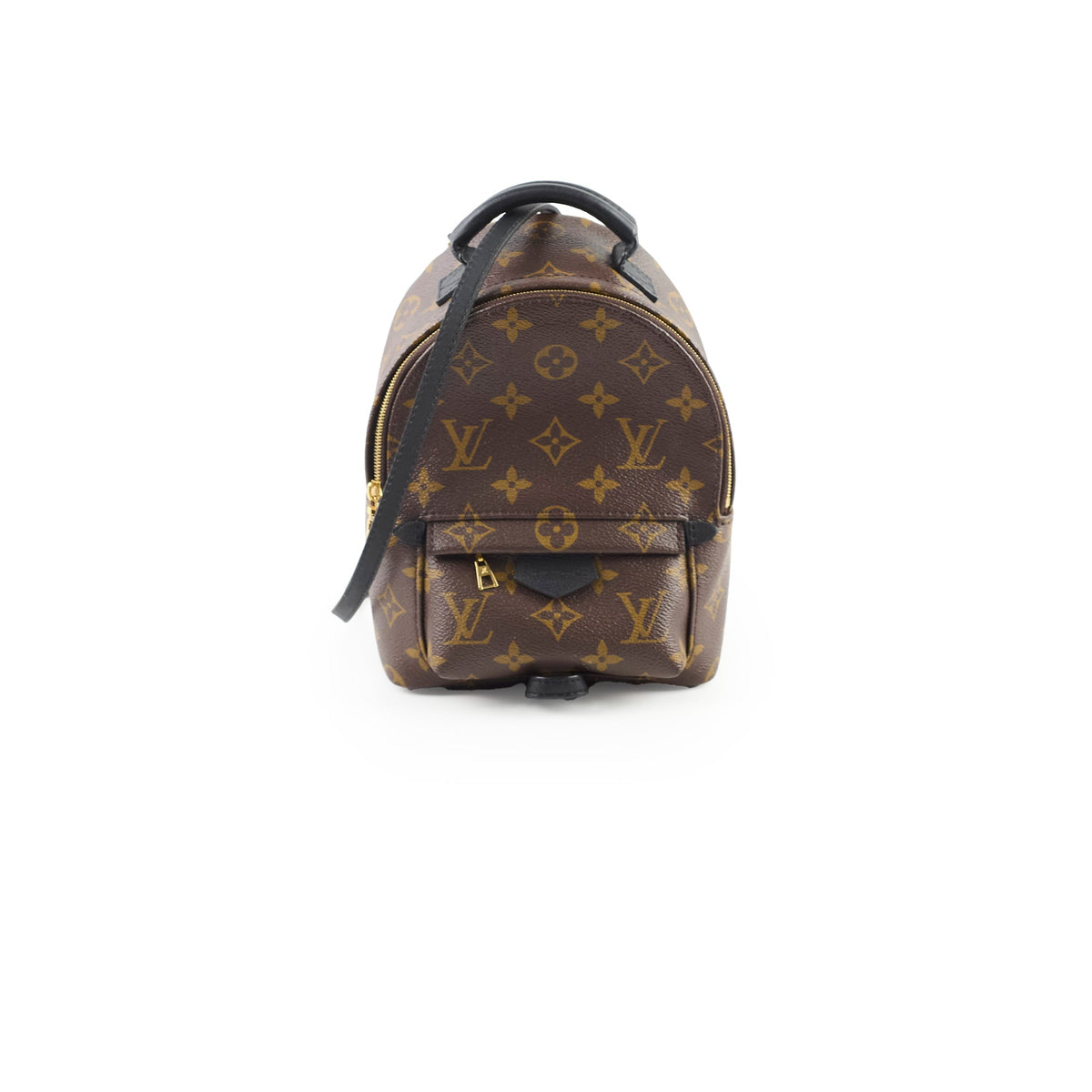 Louis Vuitton Mini Palm Spring Monogram - photo 1