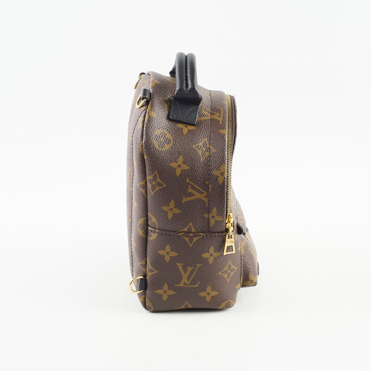 Louis Vuitton Mini Palm Spring Monogram - photo 2
